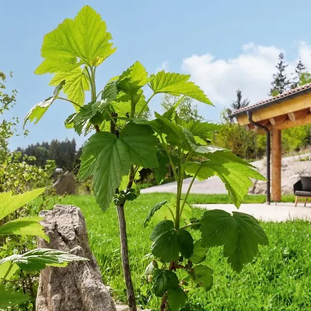 Chalet Naturstamm
